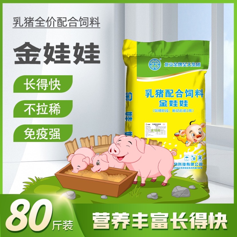 金娃娃乳豬全價配合飼料仔豬開口保育顆粒飼料 80斤裝廠家直售
